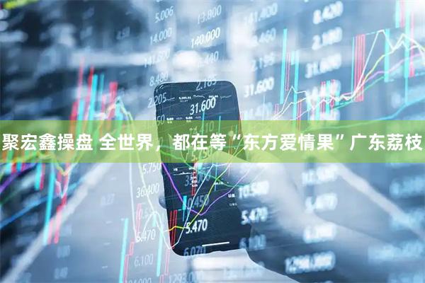 聚宏鑫操盘 全世界，都在等“东方爱情果”广东荔枝