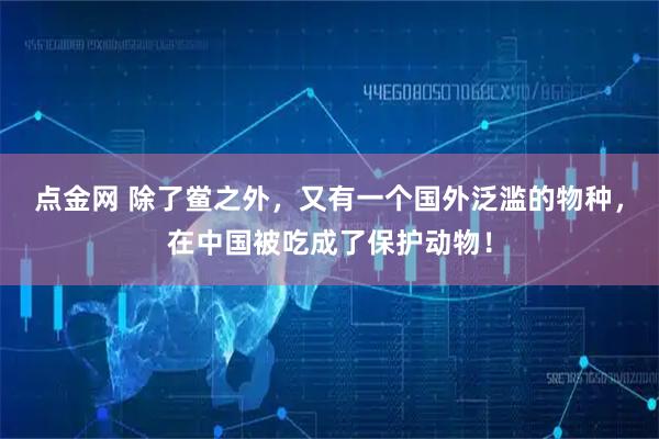 点金网 除了鲎之外，又有一个国外泛滥的物种，在中国被吃成了保护动物！