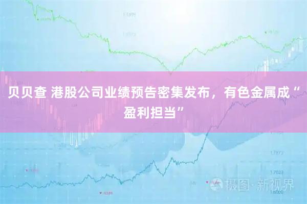 贝贝查 港股公司业绩预告密集发布，有色金属成“盈利担当”