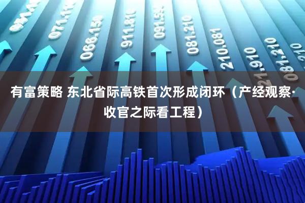 有富策略 东北省际高铁首次形成闭环（产经观察·收官之际看工程）